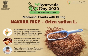 #Ayurveda4Health